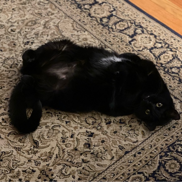 Meet your Posher, Jen - Picture 5 of 14